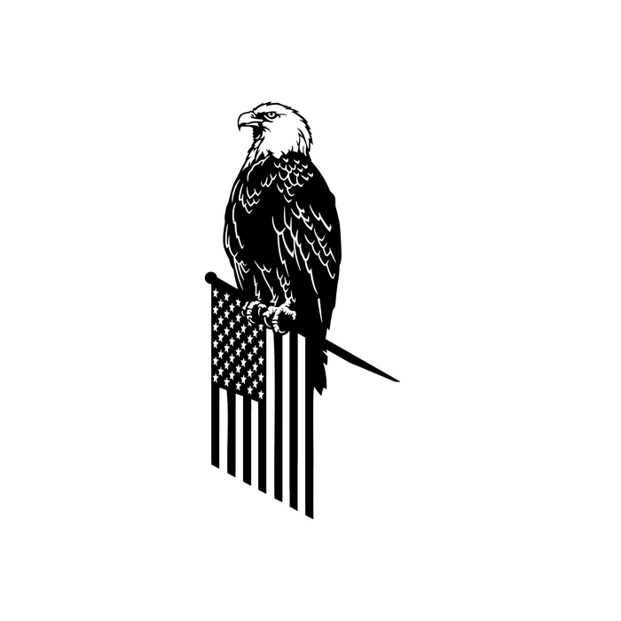DXF Files for Plasma Cutting | American Flag With Eagle